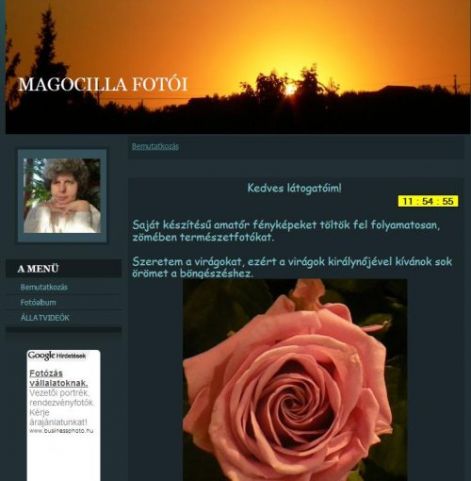 magocilla500.jpg